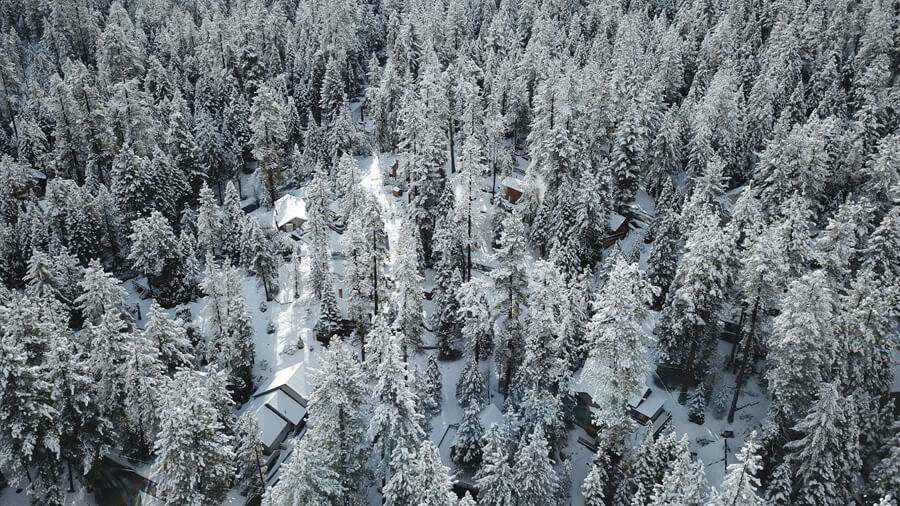 Snow-covered pines and cabins at Hume Lake, from the air.