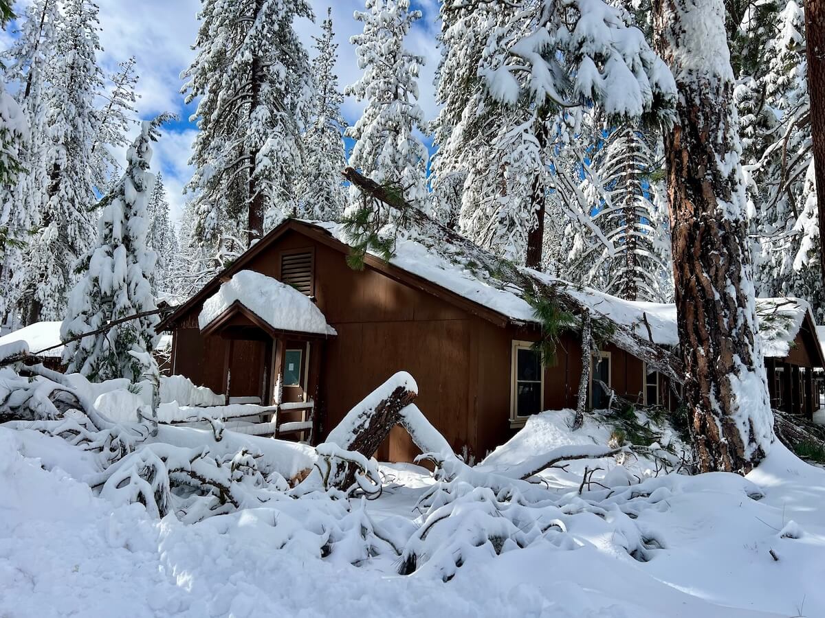 Bear Paw Staff Lodge was hit by a falling tree.