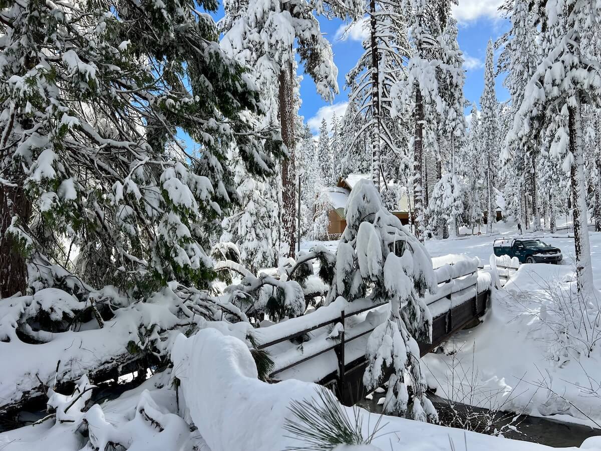 A bridge covered in snow and the remains of a fallen tree.