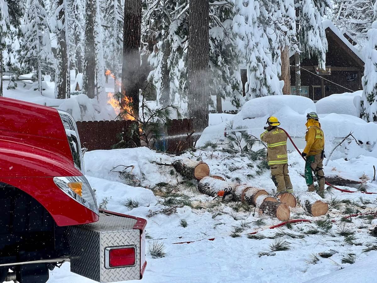 Fallen Trees, Fires, and Amazing Fire Fighters